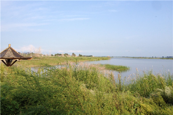 哈尔滨的后花园滨江湿地公园