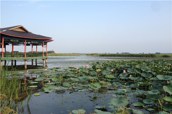 哈尔滨的后花园滨江湿地公园