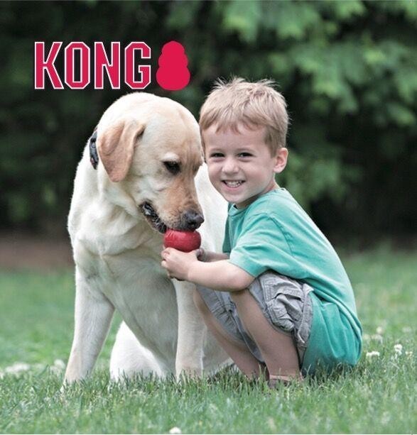 来自美国的宠物训练玩具KONG即将亮相18届亚宠展