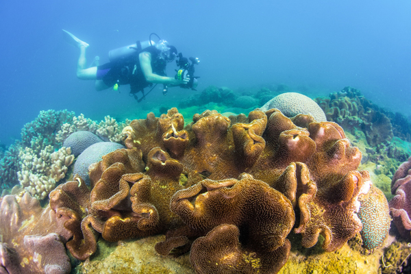国内首部海底微电影在分界洲岛拍摄