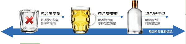 江城多家医院开展酒精基因检测 数千市民拿到“酒量鉴定”