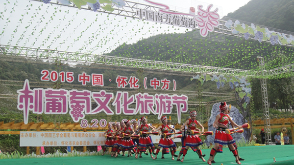 2015怀化中方刺葡萄文化旅游节开幕