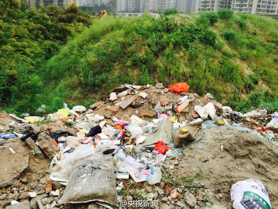 西安汉代古墓群遭垃圾、奶牛包围