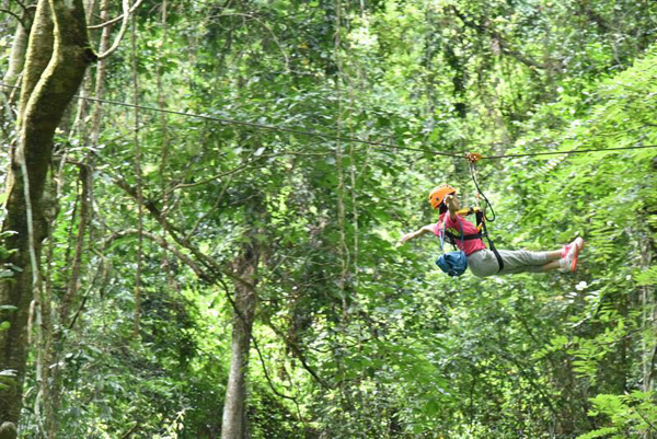不用再远去清迈，来西双版纳原始森林公园体验丛林飞跃吧