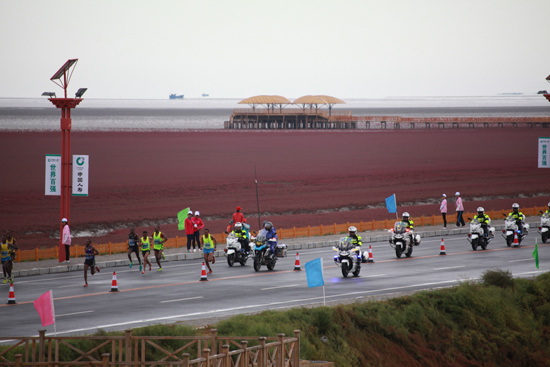 首届盘锦红海滩国际马拉松比赛鸣枪开跑