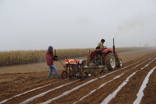 甘肃平凉市崆峒区:科技精下地，农民秋播忙 - 国内新闻 - 中国日报网