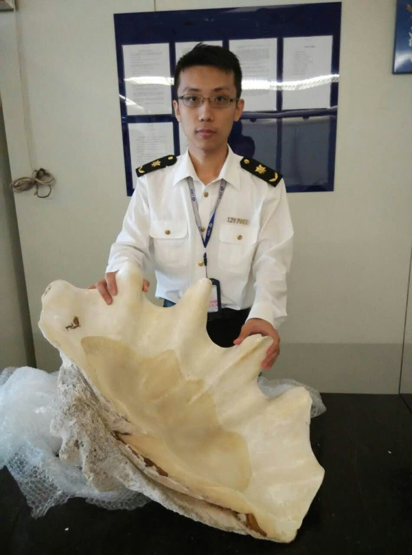 天津检验检疫截获国家一级保护动物砗磲贝壳