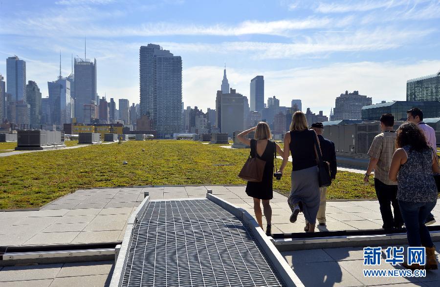 纽约最大的“绿色屋顶”投入使用