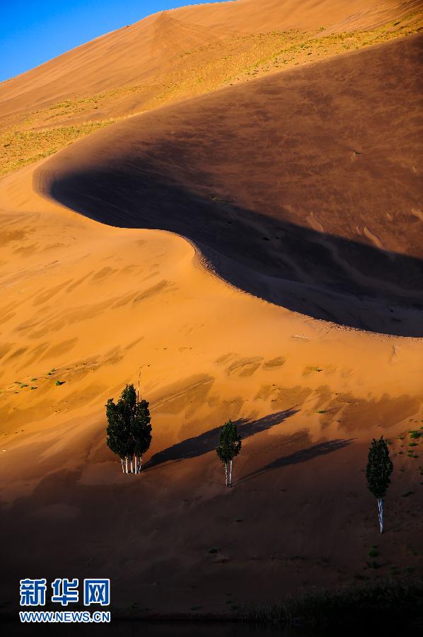 壮美的巴丹吉林沙漠