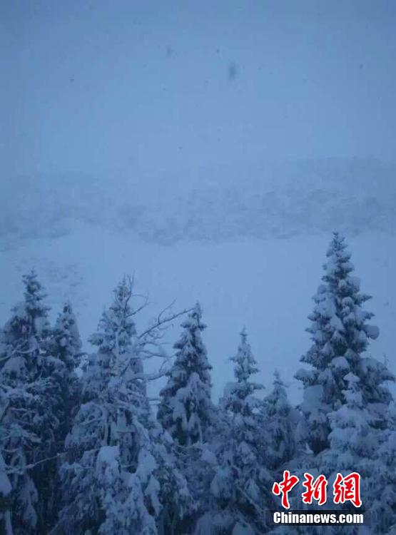 新疆北疆山区降大雪 积雪厚度达50厘米