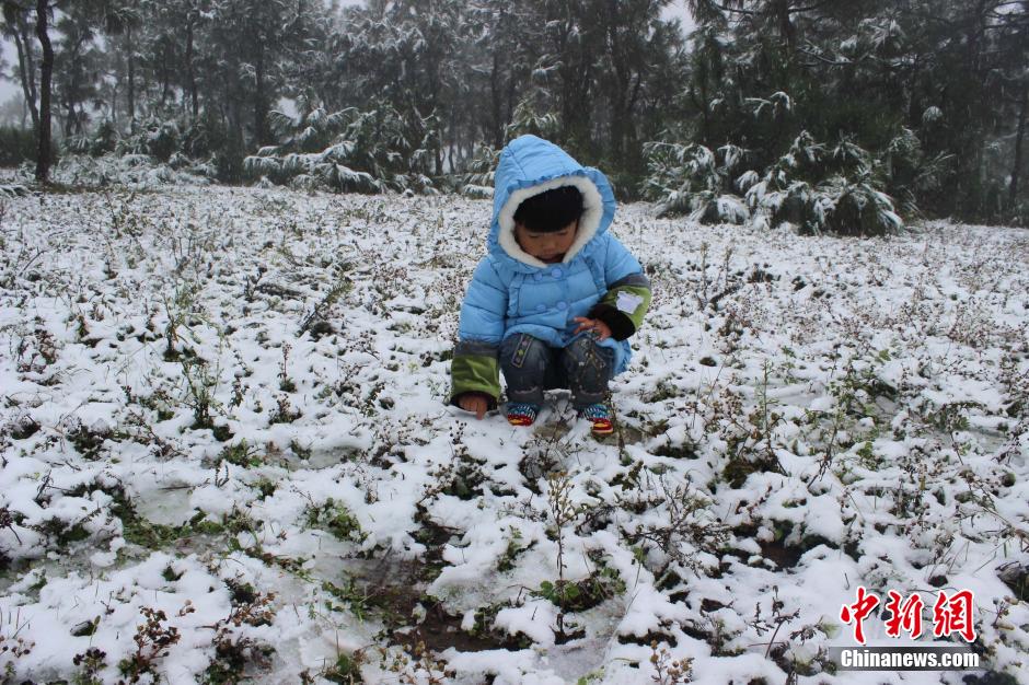 贵州威宁县迎今年入秋以来首场降雪