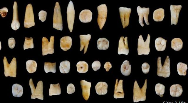 中科院在湖南道县发现迄今最早现代人类化石