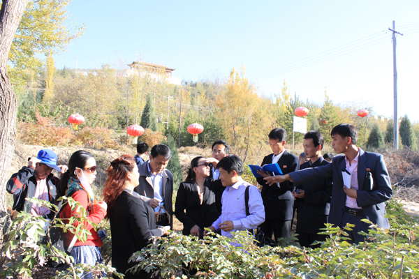 兰州新区：朝鲜农业考察团参观调研中川牡丹园