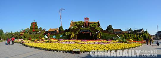 中国开封第33届菊花文化节开幕 大立菊开千朵花创下吉尼斯纪录