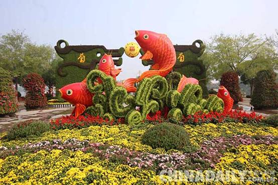 中国开封第33届菊花文化节开幕 大立菊开千朵花创下吉尼斯纪录