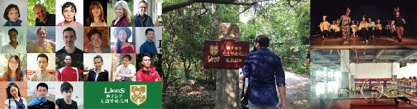 天价幼儿园在哪里探访森林中的狮子公学