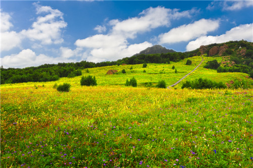 第一条：高山霜叶色更浓