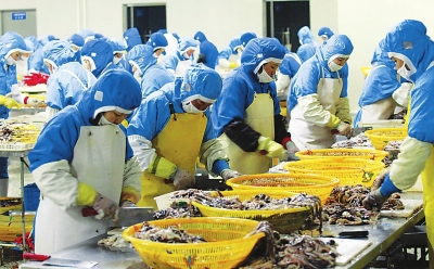 聚焦吉林省产业集群发展系列报道之十一 边城味“道”——延边州食品产业发展纪实