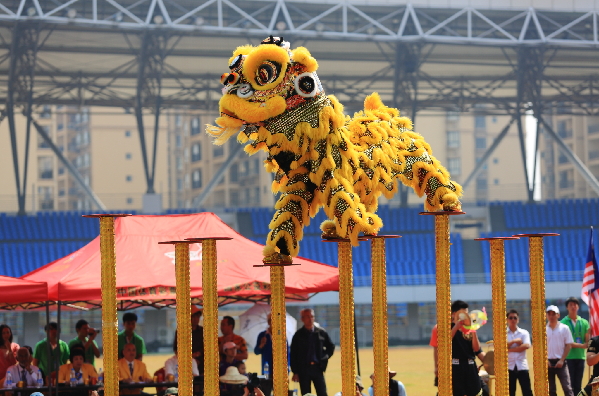 2015中国-东盟(钦州)狮王争霸赛盛大开幕