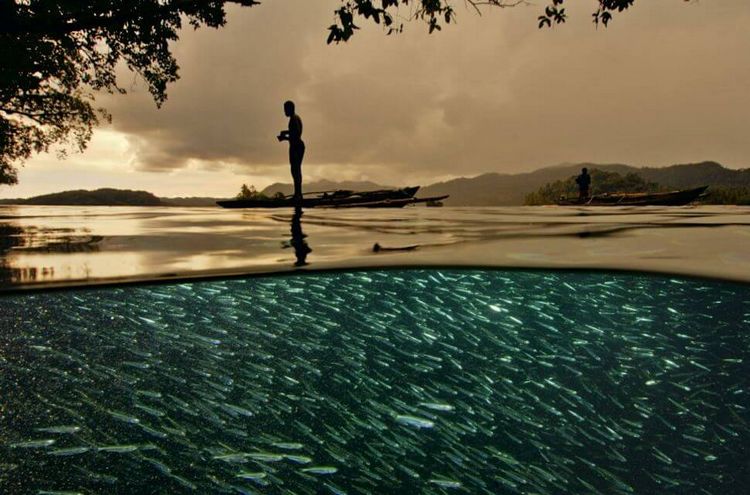 全球壮观摄影展绝美水下世界