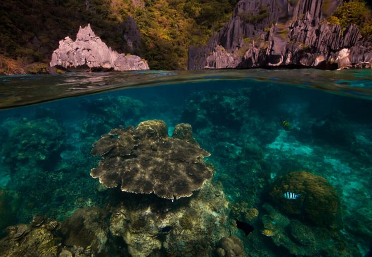 全球壮观摄影展绝美水下世界