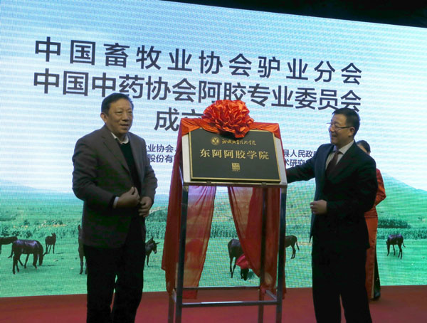 中国畜牧业协会驴业分会成立 呼吁把毛驴当药材养