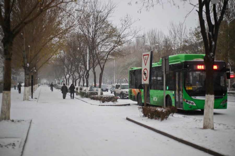 港城迎2015首场大雪 全城银装素裹分外好看