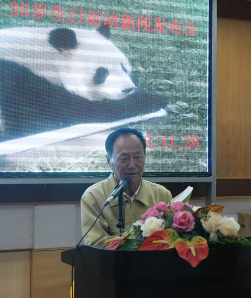 福州将举办明星大熊猫“巴斯”35周岁庆生活动