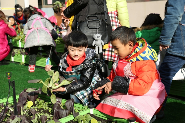 合肥华府骏苑小学尝试立体式教学，让学生“自种自卖自己的菜”