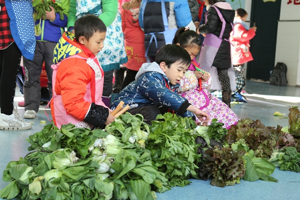 合肥华府骏苑小学尝试立体式教学，让学生“自种自卖自己的菜”