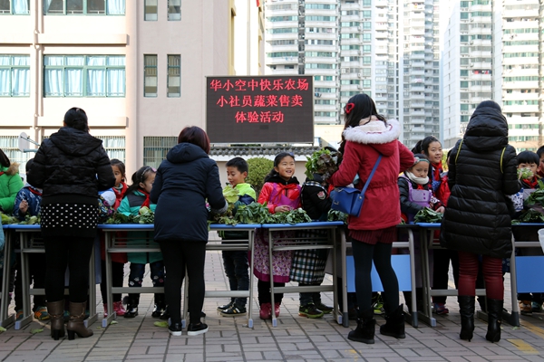 合肥华府骏苑小学尝试立体式教学，让学生“自种自卖自己的菜”