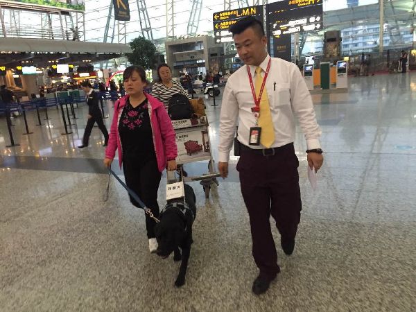 导盲犬珍妮的飞行之旅——海南航空广州分公司首次障携带有导盲犬的旅客