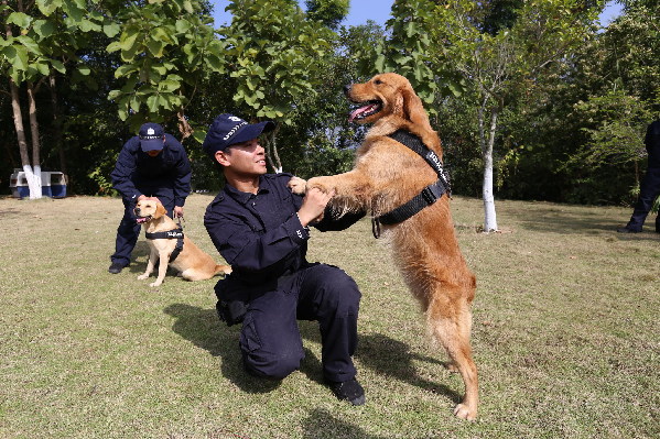 我国首次开展大湄公河次区域海关缉毒犬执法培训
