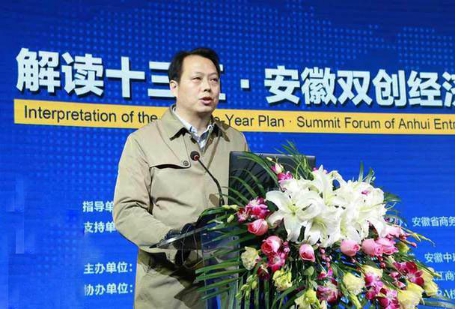 中环投资集团董事长余竹云出席2015安徽双创经济高峰论坛