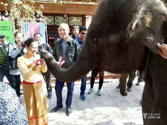 大象游行走进中国 中荷合作打造国际性主题公益平台