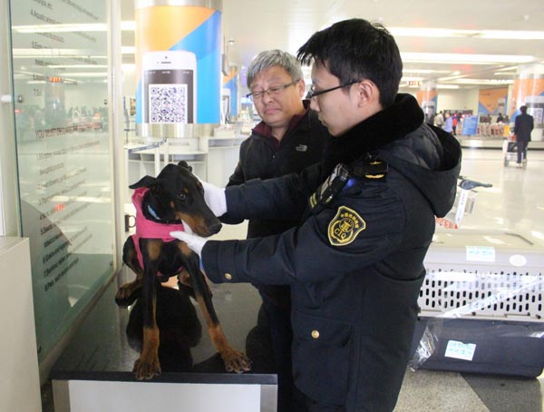 天津机场检验检疫正式启动入境动伴侣动物隔离机制