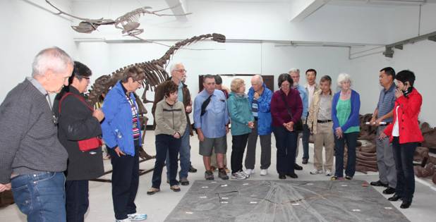 自贡恐龙博物馆馆长万一：博物馆教育让冰冷的石头“说话”