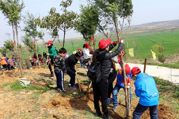 传承包公之精神，感受公益之魅力——2016大型公益植树活动走进安徽肥东
