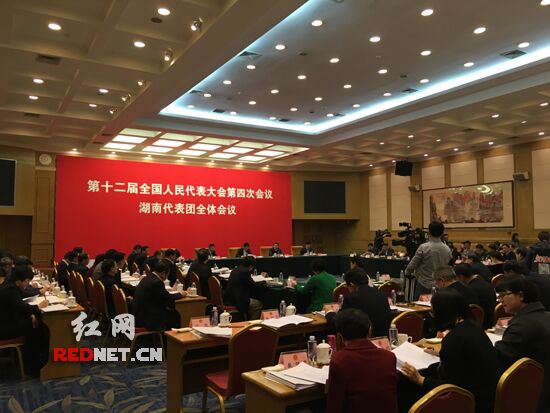 湖南代表团举行第九次全体会议 徐守盛主持并讲话