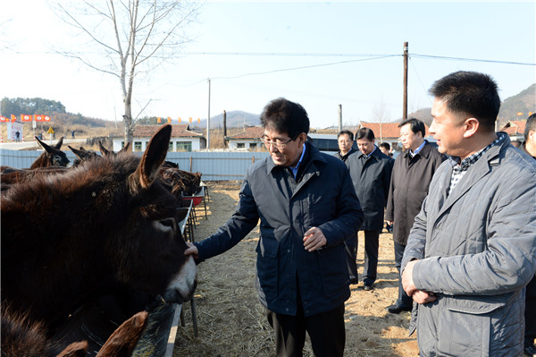 巴音朝鲁到延边州和龙市南坪镇高岭村调研