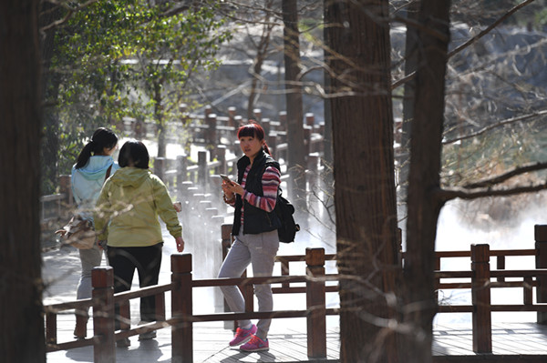 高山杜鹃首次亮相北京植物园