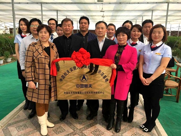 中国航天安徽人参果娃育种示范基地正式挂牌成立