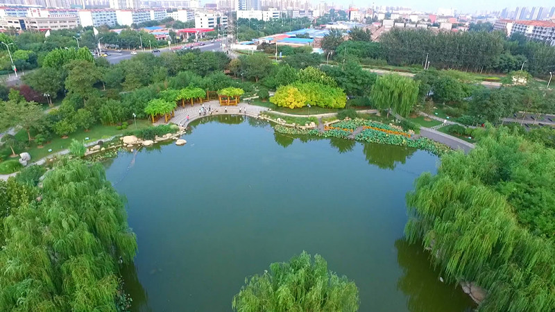 武清区去冬今春完成植树造林10万亩 获评天津市首批“全国绿化模范城市（区）”