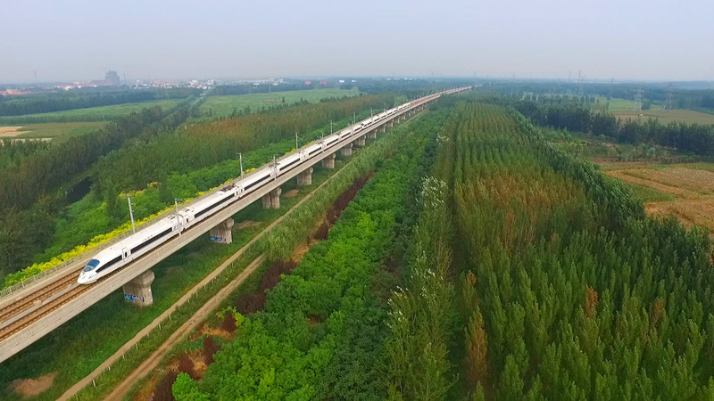 武清区去冬今春完成植树造林10万亩 获评天津市首批“全国绿化模范城市（区）”