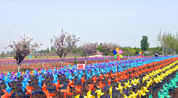 紫缘香草园首届风车节将于4月16日开幕