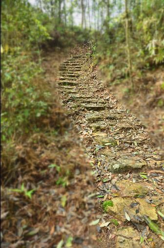 阳山秦汉古道古韵悠悠，大型徒步活动等你参加