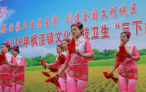 上海市民文化节首个社区日在枫泾成功举办（图）