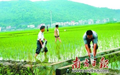 广东农村综合改革向纵深推进 聚焦五大领域注重基础性制度建设