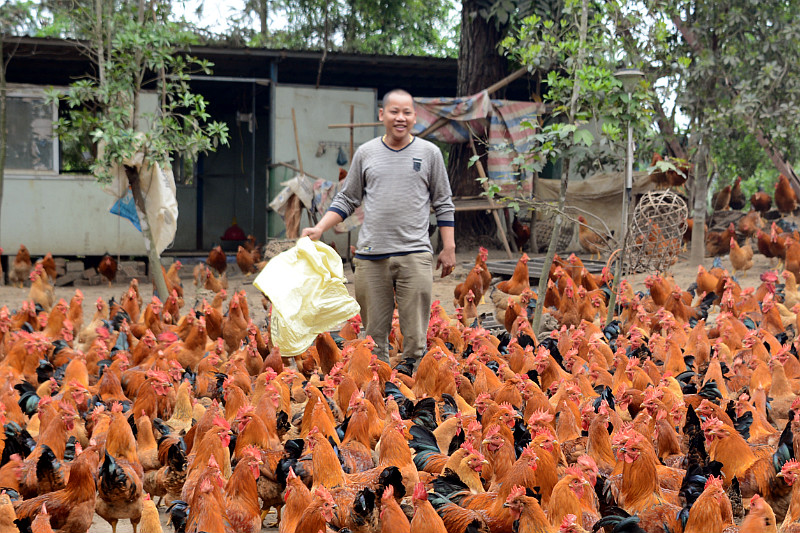 广西龙州：返乡民工创业成村里“明星”