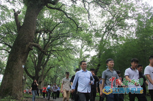 吴宜文：乐安旅游业迎来发展春天 要保护原生态打造综合景区
